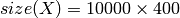 {size}(X) = 10000 \times 400