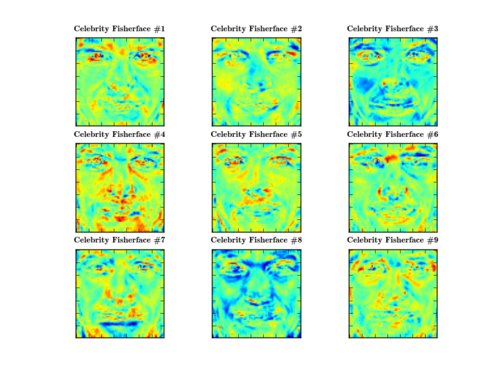 The 9 Fisherfaces of the Celebrity Dataset